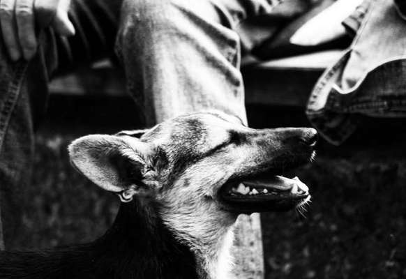 Foto-Challenge 76: Foto in Schwarz-Weiss-Beitrag-Bild