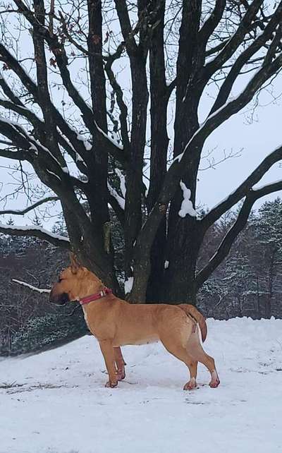 Der erste Schnee, zeigt uns eure tollen Schneemomente-Beitrag-Bild