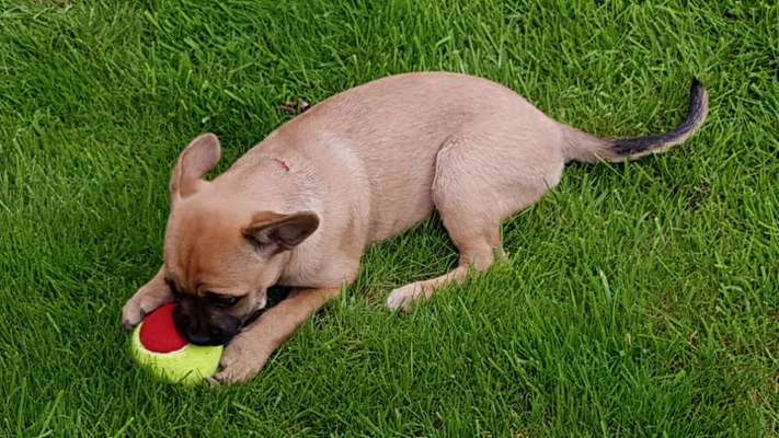 Sie werden so schnell erwachsen ...-Beitrag-Bild