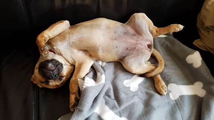 Sie werden so schnell erwachsen ...-Beitrag-Bild