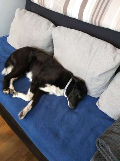 Verhaltensänderung-Beitrag-Bild