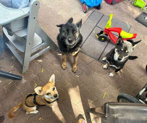 Probleme angehen..-Beitrag-Bild