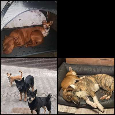 Probleme angehen..-Beitrag-Bild