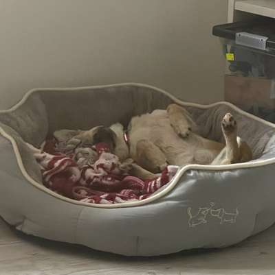 Probleme angehen..-Beitrag-Bild