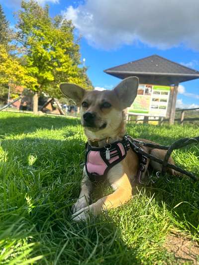 Probleme angehen..-Beitrag-Bild