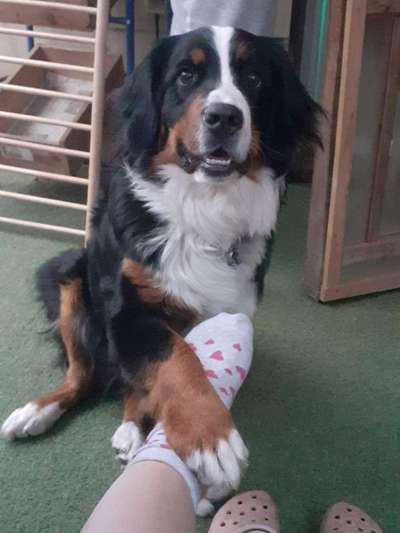 Unsere Loana war noch nicht läufig-Beitrag-Bild