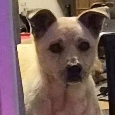 Sabine's Profilbild