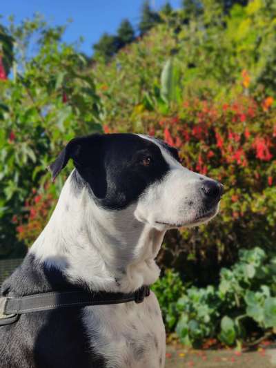 Fotochallenge 78

Es grünt und blüht-Beitrag-Bild