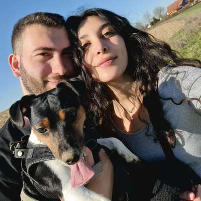 Hundetreffen-Gassirunden-Profilbild