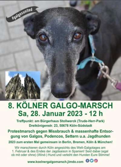 Windhunde - Treffen der besonderen Schönheiten
HERZLICH WILLKOMMEN-Beitrag-Bild