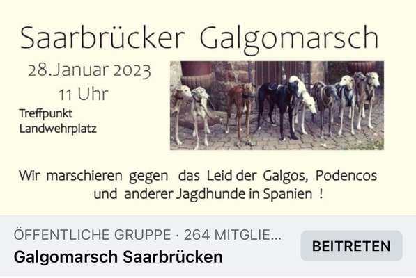 Windhunde - Treffen der besonderen Schönheiten
HERZLICH WILLKOMMEN-Beitrag-Bild