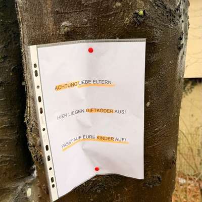 Giftköder-Giftköder ausgelegt-Bild