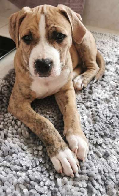 Schönen welt Frauen Tag !:)-Beitrag-Bild