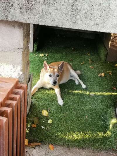 Lieblingsbild :D-Beitrag-Bild