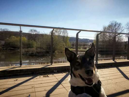 Das beste grinsefoto-Beitrag-Bild