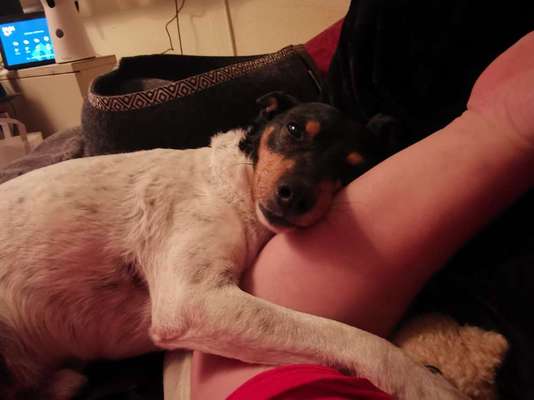 Lieblingsbild :D-Beitrag-Bild