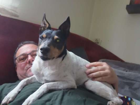 Hund aus dem Spanischen Tierschutz-Beitrag-Bild