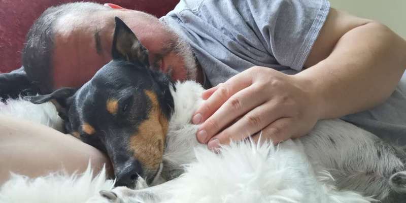 KUSCHEL PARTNER-Beitrag-Bild