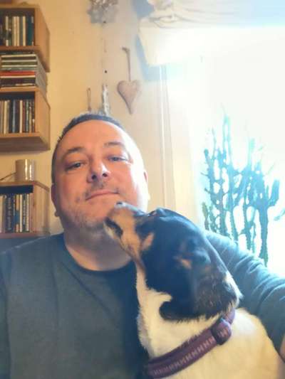 Tag des Hundes-Beitrag-Bild