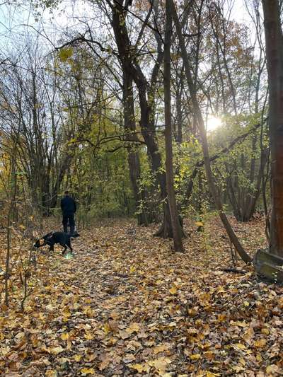 Hundeauslaufgebiet-Altes Bahngelände-Bild