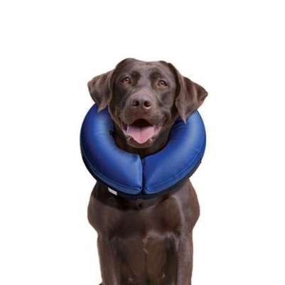 Kragen oder Post-OP-Body-Beitrag-Bild