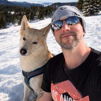 Hundetreffen-Gassi und Spielfreunde-Bild