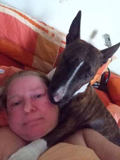 Wie kamst du zu deinem Hund?-Beitrag-Bild