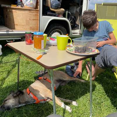 Rückruf Tips und Tricks benötigt-Beitrag-Bild