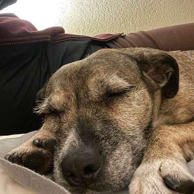 Was hat euch heute gefreut?-Beitrag-Bild