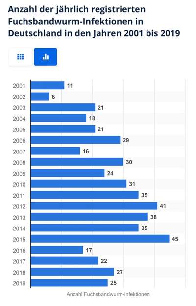 Wird zu selten entwurmt? Wurmbefall bei Hunden in Deutschland-Beitrag-Bild