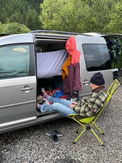 TierschutzhundeStammtisch🐕-Beitrag-Bild