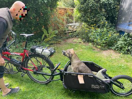 TierschutzhundeStammtisch🐕-Beitrag-Bild