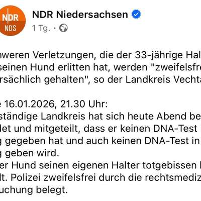 Der Fall "Sam" - Angriff oder missglückter Rettungsversuch?-Beitrag-Bild