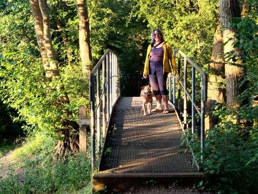 Foto Challenge Thema "Brücke"-Beitrag-Bild