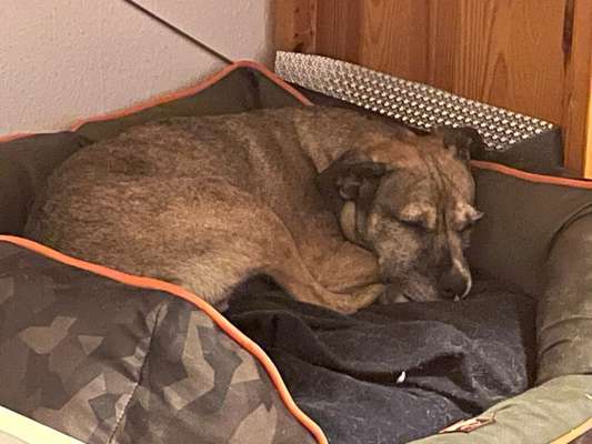 Was hat euch heute gefreut?-Beitrag-Bild