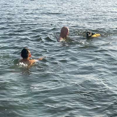 Schwimmweste als Absicherung am Angelteich für 30kg Hund gesucht-Beitrag-Bild