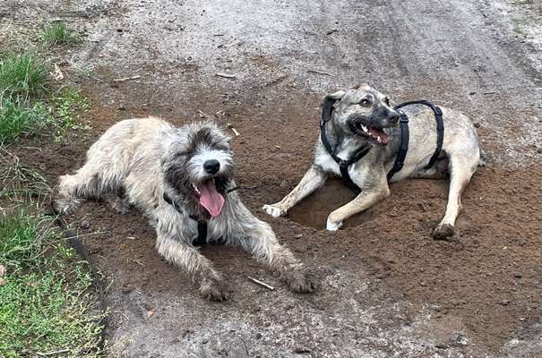 Fotochallenge 130-Beitrag-Bild