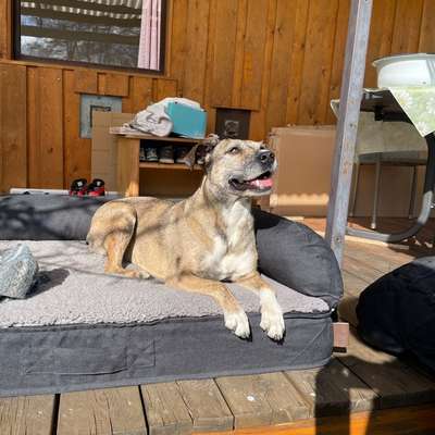 Was hat euch heute gefreut?-Beitrag-Bild