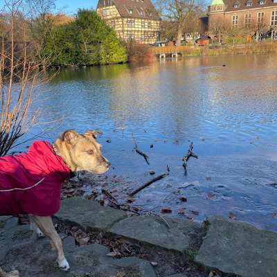 Was hat euch heute gefreut?-Beitrag-Bild