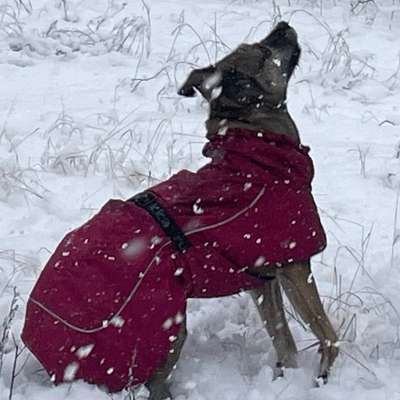 Welche Mäntel empfehlt ihr?-Beitrag-Bild