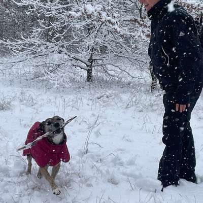 Was hat euch heute gefreut?-Beitrag-Bild