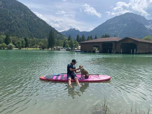 Campingurlaub mit hund am Wasser?-Beitrag-Bild
