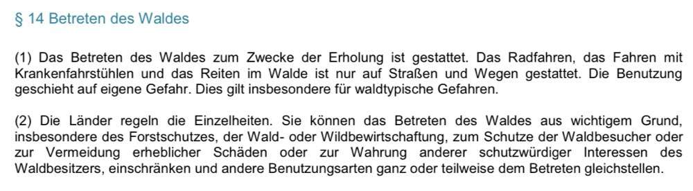 Ist Treibjagd noch zeitgemäß und mit "Hundeliebe" vereinbar?-Beitrag-Bild