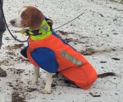 Eure Erfahrung mit GPS-Trackern-Beitrag-Bild