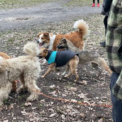 Verhalten (war: Mobbing) in der Gruppe-Beitrag-Bild