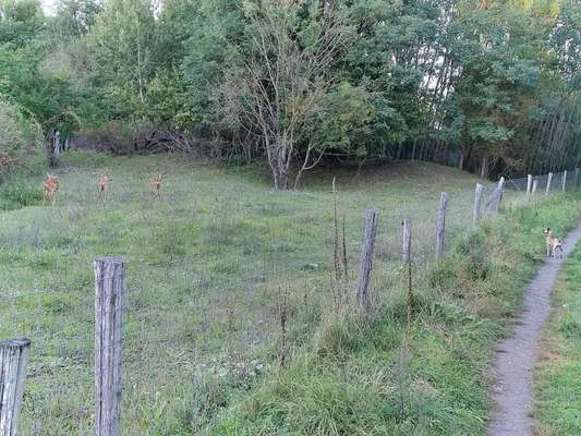 Was hat euch heute gefreut?-Beitrag-Bild