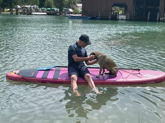 TierschutzhundeStammtisch🐕-Beitrag-Bild