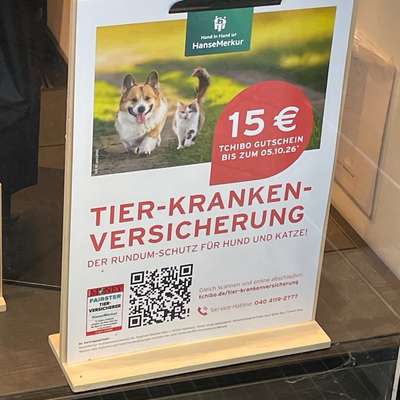 Hundekrankenversicherung-Beitrag-Bild