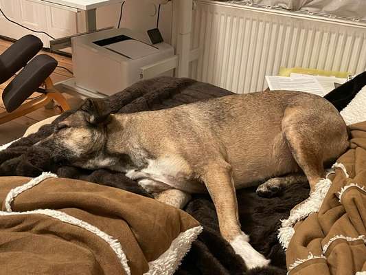 Was hat euch heute gefreut?-Beitrag-Bild