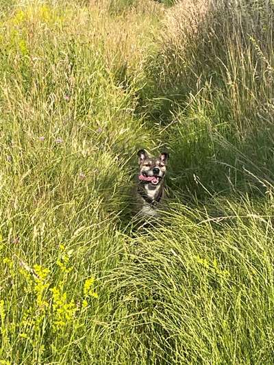 Was hat euch heute gefreut?-Beitrag-Bild